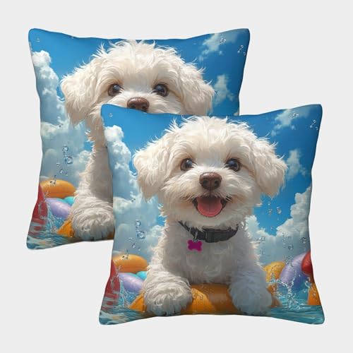 DNAVSOETR Pudel Kissenhülle 2 Set Kissenbezug Waschbar Mit Unsichtbarem Reißverschluss QuadRatteteischer Kissenbezug Kissenhülle Sofa Kissenbezug Outdoor Garten 45x45cm von DNAVSOETR
