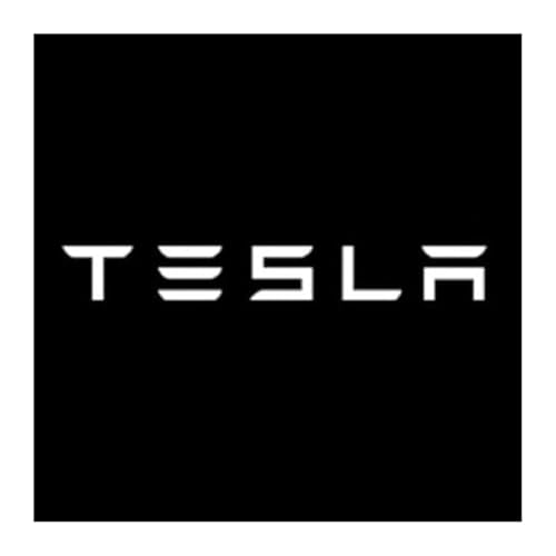 DNEOGOO 2 Stücke Autotür Willkommenslicht für Tesla Model 3 Highland 2023 2024, Auto Willkommen Projektor Magnet Sensor Emblem Lampen Zubehör von DNEOGOO