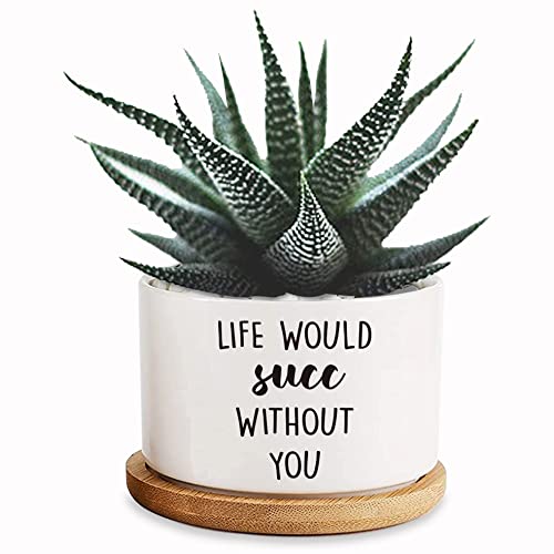 DOFAFALA Life Would SUCC Without You Lustiger weißer Mini-Blumentopf aus Keramik mit Drainage und Bambus-Tablett, Kaktus-Topf, Mini-Sukkulententöpfe, Einweihungsgeschenk für Frauen, Freunde, Kollegen von DOFAFALA