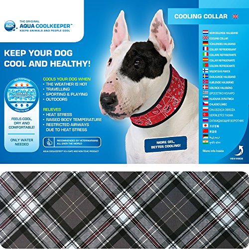 Aqua Coolkeeper Halsband Scottish Grey XL von DOG Copenhagen