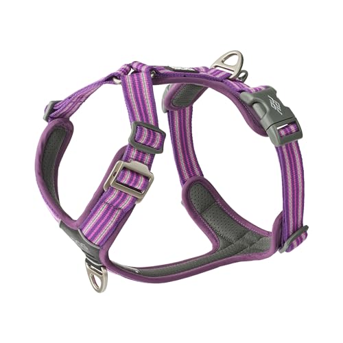 DOG Copenhagen Comfort Walk Air 3.0 Hundegeschirr - Geschirr für Hunde - Welpengeschirr, Purple Passion, XL von DOG Copenhagen
