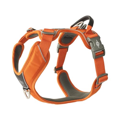 DOG Copenhagen Comfort Walk Pro Hundegeschirr, Orange Sun, XL von DOG Copenhagen