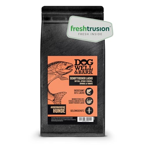 Premium Hundefutter trocken getreidefrei – Alleinfutter mit Schottischem Lachs 2kg für ausgewachsenen Hunde - Lachs mit Dill, Spinat, Fenchel, Spargel & Tomate - reich an Omega-3 von DOG WELL & BARK