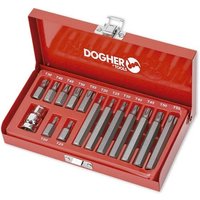 Koffer mit 10 mm Torx-Spitzen, 15 Stück Dogher 438-007 von DOGHER