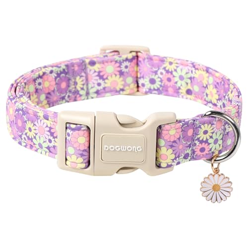 DOGWONG Blumen Mädchen Daisy Hundehalsband – Langlebiges Niedliches Sommer und Strand Hundehalsband für kleine, mittelgroße und große Hunde DOGWONG Blumen Mädchen Daisy Hundehalsband – Langlebiges Niedliches Sommer und Strand Hundehalsband für kleine, mittelgroße und große Hunde von DOGWONG