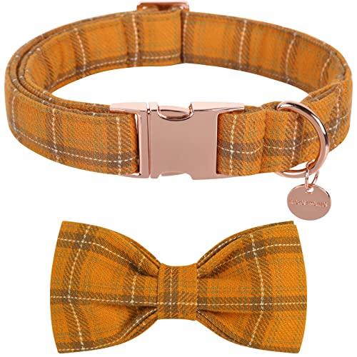 DOGWONG Hundehalsband, Haustierhalsband Hundefliege Geschenk für Mädchen oder Jungen Hunde, Bequeme verstellbares Hundehalsband für kleine mittelgroße Hunde DOGWONG Hundehalsband, Haustierhalsband Hundefliege Geschenk für Mädchen oder Jungen Hunde, Bequeme verstellbares Hundehalsband für kleine mittelgroße Hunde von DOGWONG