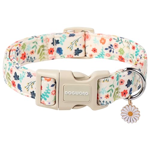 DOGWONG Hundehalsband Halsband Verstellbare Halsbänder oder Hundeleinen für Hunde und Katzen Klein Mittelgroß Groß DOGWONG Hundehalsband Halsband Verstellbare Halsbänder oder Hundeleinen für Hunde und Katzen Klein Mittelgroß Groß von DOGWONG