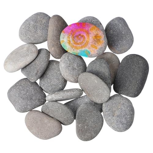 DOITOOL 20stücke Glatte Flusssteine Zum Bemalen Kreative DIY-malsteine Für Junge Mädchen Farbenfrohe Bastelsteine Für Garten Und Dekoration Für Malerei Und Kunstprojekte von DOITOOL
