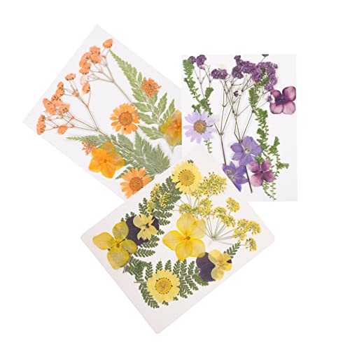 DOITOOL 3 Sätze DREI Sets Getrocknete Blumenmaterialien für DIY Kerzen Dekorative Blumen für Bastelarbeiten Natürliche Gepresste Blumen für Schmuck Seifen und Home Decor von DOITOOL