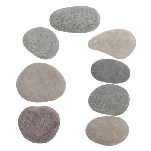 DOITOOL 8 Stück Teiliges DIY Steine Malset für Glatte Flusskiesel Natürliche Bastelsteine zum Bemalen Kreative Kunstprojekte Wetterfeste Dekoration für Garten und Zuhause von DOITOOL