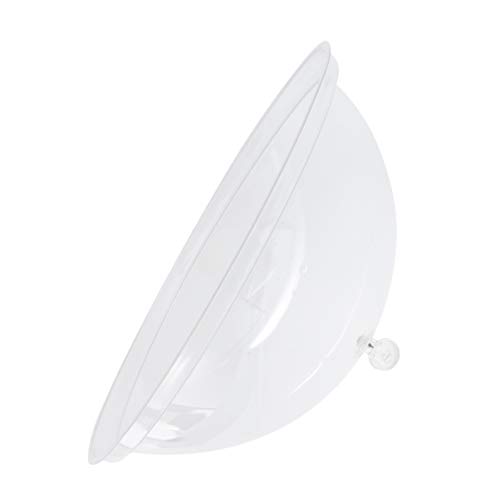 DOITOOL Abdeckhaube Kuchenhaube Fliegenhaube Torten Kuchen Glasglocke Teller Haube Kuchenglocke Tortenglocke Kuchenplatte Haube Lebensmittel Abdeckung für Zuhause Picknick Küche von DOITOOL