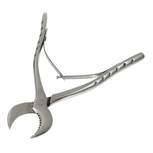 DOITOOL Edelstahl Baumrinden Abstreifzange Ergonomisch Langlebig Handwerkzeug für Garten und Landwirtschaft Praktisch und Komfortabel zu Bedienen DOITOOL Edelstahl Baumrinden Abstreifzange Ergonomisch Langlebig Handwerkzeug für Garten und Landwirtschaft Praktisch und Komfortabel zu Bedienen von DOITOOL