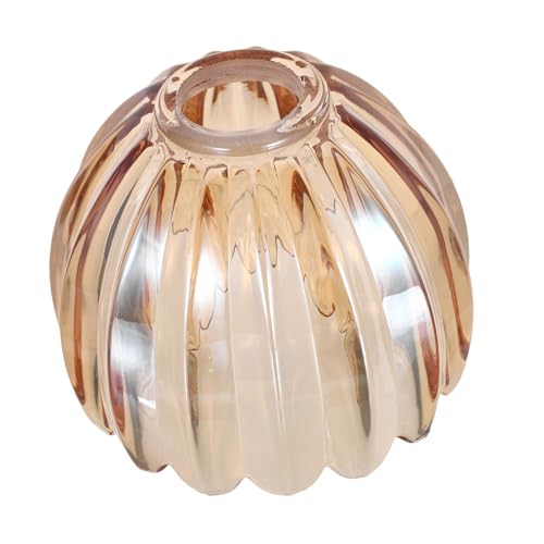 DOITOOL Handgefertigter Amberfarbener Glaskörper im Kürbisdesign für Pendelleuchten und Wandleuchten Langlebig und für Verschiedene Räume DOITOOL Handgefertigter Amberfarbener Glaskörper im Kürbisdesign für Pendelleuchten und Wandleuchten Langlebig und für Verschiedene Räume von DOITOOL