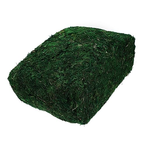 DOITOOL 1tasche Künstliches Moos Imitierte Moospflanze Dekoratives Moos Blumenarrangement-Accessoire Blumentopf-schmuck Für Mikrolandschaften Und Topfpflanzen-verzierung von DOITOOL