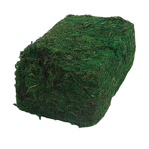 DOITOOL Künstliche Moos-Pflanze Dekorativer Blumenarrange-zubehör Grün Für Zimmerpflanzen Terrarien Und Gartenlandschaften von DOITOOL