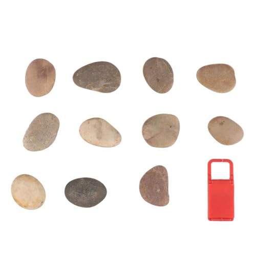 DOITOOL Teiliges DIY Natürliche Flache Kieselsteine zum Bemalen für Ständer Kreative Handpaint Rocks für Mädchen Jungen Heimdekoration und Kunstprojekte DOITOOL Teiliges DIY Natürliche Flache Kieselsteine zum Bemalen für Ständer Kreative Handpaint Rocks für Mädchen Jungen Heimdekoration und Kunstprojekte von DOITOOL