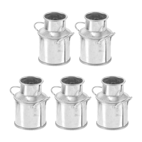 DOITOOL Zubehör Blumeneimer 5Pcs Mini Eimer Verzinktem Metall Silber Mini Eimer für Party Favors Micro Landschaft Sukkulenten Hochzeitsdekoration von DOITOOL