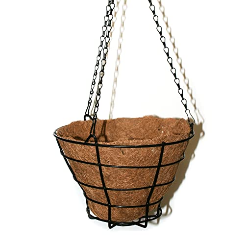 DOJA Barcelona | Schmiedeeiserne Blumenampel | Kokos Blumentopf Hängend |Durchmesser als Hängeampel | 290mm | Pack2 | Hängekorb | Hängeampel Kokosfaserkorb Outdoor/Indoor | Wand Hängetopf Garten. von DOJA Barcelona