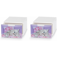 Schreibtisch Ablageboxen 2er-Set Q-Box mini von DOMO Living