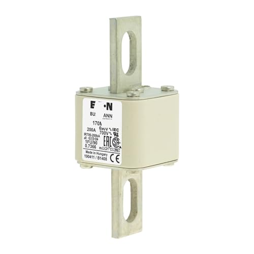 DOMOJT Originalsicherung 170M4608 170M4609 170M4610 170M4611 170M4612 170M4613 170M4614 170M4615 170M4616 (Farbe: 170M4616) 17) von DOMOJT
