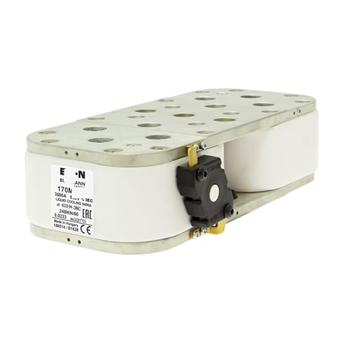 DOMOJT Originalsicherung 170M7198 170M7199 170M7200 170M7201 170M7202 170M7203 170M7204 170M7205 170M7206 (Farbe: 170M7206) 09) von DOMOJT