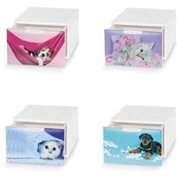 Domoliving - Qbox Organizer-Schublade L15,5xP20xH10,5cm aufmerksamkeit Dieses Produkt wird vom Hersteller in zufällig ausgewählten Modellen und/oder Domoliving - Qbox Organizer-Schublade L15,5xP20xH10,5cm aufmerksamkeit Dieses Produkt wird vom Hersteller in zufällig ausgewählten Modellen und/oder von DOMOLIVING