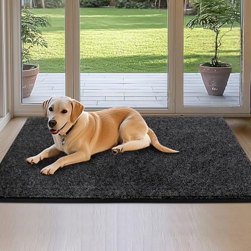 DOMUSTEX Schmutzfangmatte Innen 80 x 120 cm, Waschbar Fußmatte, Eingangsteppich, rutschfeste Fussmatte, Teppich für Badezimmer, Küche, Schlafzimmer, Flur von DOMUSTEX