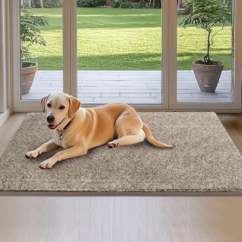 DOMUSTEX Schmutzfangmatte Innen 80 x 120 cm, Waschbar Fußmatte, Eingangsteppich, rutschfeste Fussmatte, Teppich für Badezimmer, Küche, Schlafzimmer, Flur von DOMUSTEX