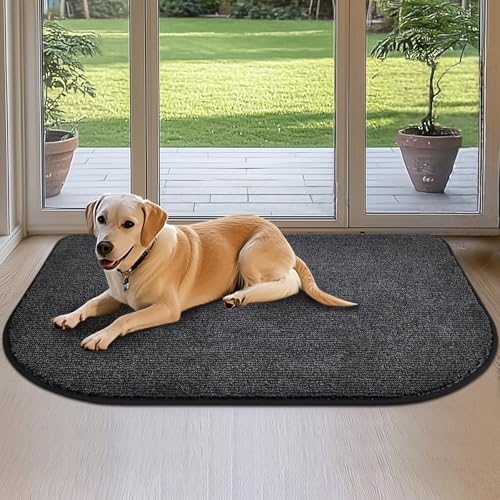 DOMUSTEX Schmutzfangmatte Innen 80x120cm Halbrund, Waschbar Küchenmatte, Eingangsteppich, rutschfeste Fussmatte, Teppich für Hund, Badezimmer, Küche, Flur von DOMUSTEX