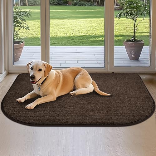 DOMUSTEX Schmutzfangmatte Innen 80x120cm Halbrund, Waschbar Küchenmatte, Eingangsteppich, rutschfeste Fussmatte, Teppich für Hund, Badezimmer, Küche, Flur von DOMUSTEX