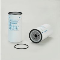 Dieselfilter Wasserabscheider DONALDSON P955606 - Äquivalent SN 916010 HIFI FILTER Dieselfilter Wasserabscheider DONALDSON P955606 - Äquivalent SN 916010 HIFI FILTER von DONALDSON
