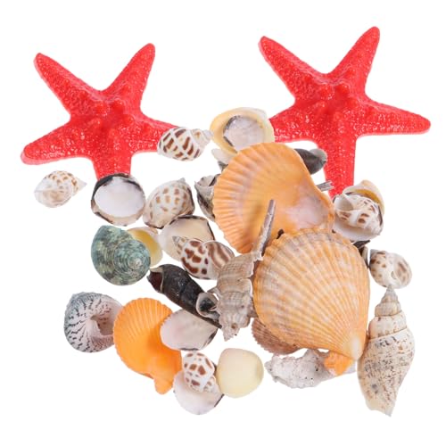 DONFAMDS 1 Satz Natürliche Muscheln für DIY Mikrolandschaften Rote Künstliche Seesterne Aquarien Heimdekoration und Bastelprojekte DONFAMDS 1 Satz Natürliche Muscheln für DIY Mikrolandschaften Rote Künstliche Seesterne Aquarien Heimdekoration und Bastelprojekte von DONFAMDS