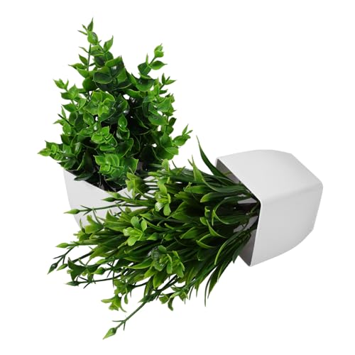 DONFAMDS 2stücke Künstliche Pflanzen Im Topf Bonsai Dekoration Für Schreibtisch Und Wohnraum Pflegeleicht Und Immer Frisch Accessoire Für Zuhause Und Büro von DONFAMDS