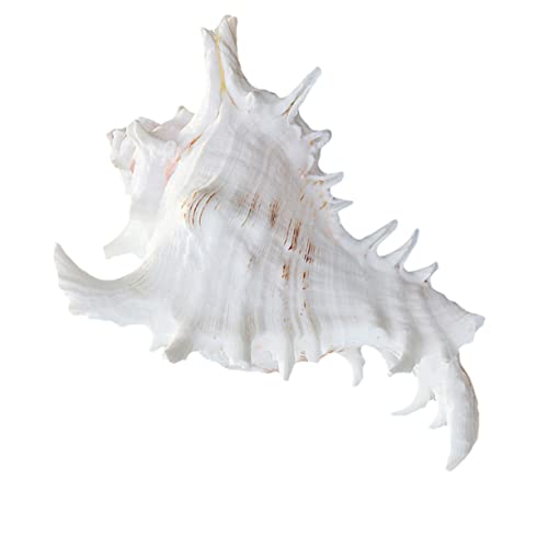 DONFAMDS Aquarium Dekoration Ornament Natürliche für Fischbecken Realistisches Landschaftsdesign für Süß Reinigen Sicher und Kreativ von DONFAMDS