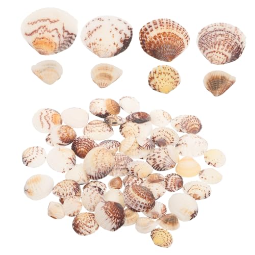 DONFAMDS DIY Muscheln für Handarbeiten Natürliche Clam Shells für Dekoration Aquarien und Kreative Projekte Kleine Muscheln für Wohnraumgestaltung Vielseitige Bastelmaterialien DONFAMDS DIY Muscheln für Handarbeiten Natürliche Clam Shells für Dekoration Aquarien und Kreative Projekte Kleine Muscheln für Wohnraumgestaltung Vielseitige Bastelmaterialien von DONFAMDS
