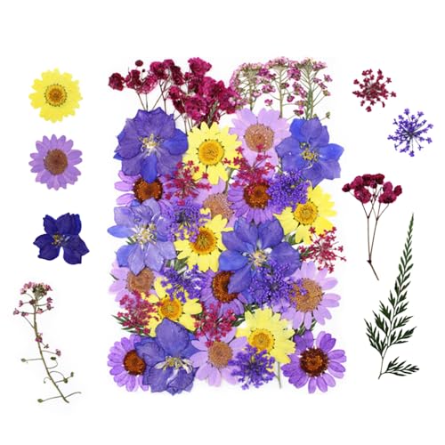 Bunte Getrocknete Gepresste Blumen, 1er-Pack Echte Natürliche Getrockneten Gepressten Blüten für DlY-Harzformen, Kerzen, Seife, Schmuckherstellung, Kunsthandwerk von DONGKER