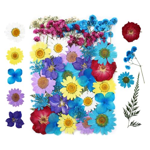 Bunte Getrocknete Gepresste Blumen, 1er-Pack Echte Natürliche Getrockneten Gepressten Blüten für DlY-Harzformen, Kerzen, Seife, Schmuckherstellung, Kunsthandwerk von DONGKER