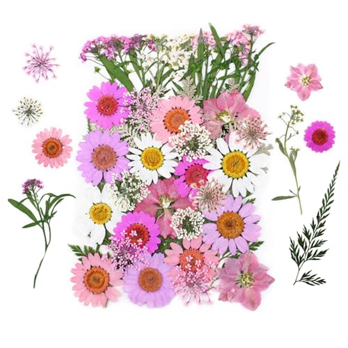 Bunte Getrocknete Gepresste Blumen, 1er-Pack Echte Natürliche Getrockneten Gepressten Blüten für DlY-Harzformen, Kerzen, Seife, Schmuckherstellung, Kunsthandwerk von DONGKER