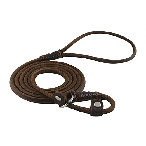 2-in-1 Hundeleine, 1,5m/5ft Leder Retrieverleine mit Zugstopp, Einstellbar Retriever Leinen mit Halsband für Hunde mit Gewicht von etwa bis 10 kg geeignet von DONGKER