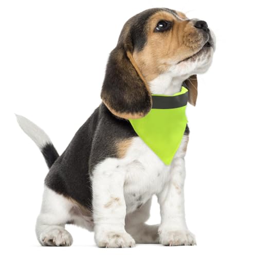 Hundeschal Reflektierende, 1 Stuck Waschbare Hohe Sichtbarkeit Halsdreiecke, Hundehalstücher mit längenverstellbarer Schnalle für kleine bis mittelgroße Hunde, Nachtspaziergänge und Reisen von DONGKER