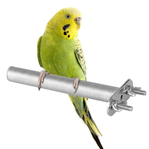 Sitzstange für Vögel, Edelstahl Vogelstange, 15cm/25cm/30cm Längen, Vogel Spielzeug Sitzstangen für Wellensittiche, Kanarienvogel, Papagei & Nager Sitzstange für Vögel, Edelstahl Vogelstange, 15cm/25cm/30cm Längen, Vogel Spielzeug Sitzstangen für Wellensittiche, Kanarienvogel, Papagei & Nager von DONGKER