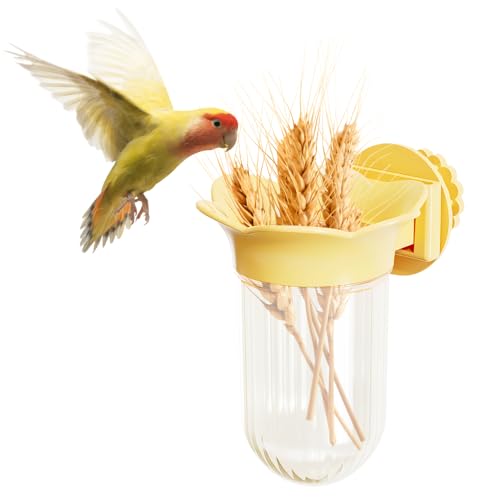 Vogelnapf, 1 Stücke Vogeln Futter Schüssel Futternapf zum Aufhängen, Käfig-Futterstation für Sittiche, Papageien, Nymphensittiche, Finken, Aras, Unzertrennliche, Wellensittiche von DONGKER