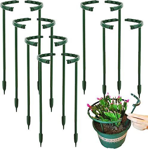 DONQL 20er Set Pflanzenstütze rund - 24x14cm, Strauchstütze aus Plastik - Verstellbarer Blumenhalter, Staudenstütze, Staudenhalter, Blumenstütze, Rankhilfe für Pflanzen Blumen Gemüse DONQL 20er Set Pflanzenstütze rund - 24x14cm, Strauchstütze aus Plastik - Verstellbarer Blumenhalter, Staudenstütze, Staudenhalter, Blumenstütze, Rankhilfe für Pflanzen Blumen Gemüse von DONQL