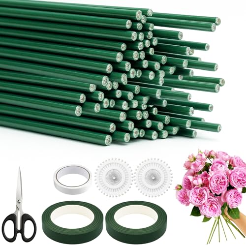 DONQL 100stk Blumendraht Grün Kit, Floristendraht 2mm*25cm mit 2stk Floristenband Grün, Flexible Steckdraht Grün, Langlebige Blumendraht zum basteln für Blumenstrauß wickeln Florist＆DIY Blumenhandwerk von DONQL