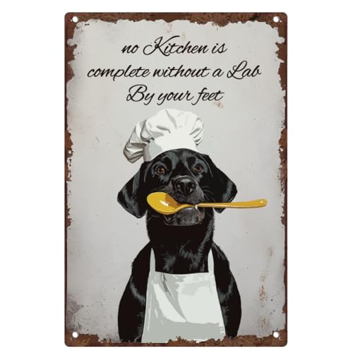 DOODLREAM Blechschild Schwarze Laborhund Küchenchef Vintage Wanddeko Keine Küche Ist Komplett Ohne Ein Labor an Ihren Füßen Retro Poster für Home Küche Restaurant Wanddeko 20 x 30cm von DOODLREAM