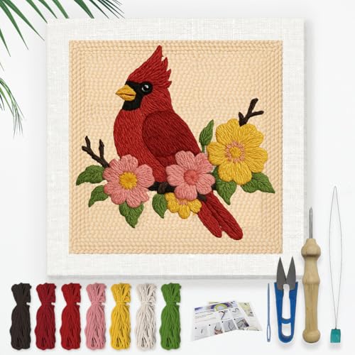DOODLREAM Kardinalvogel Stickset Zum Selbermachen Punch Needle Erwachsene Anfänger 24cm Punch Stitching Bastelset Vogel Auf Dem Zweig Anfänger Rahmen Stoffmuster Einfädler Garn Quetschnadel von DOODLREAM