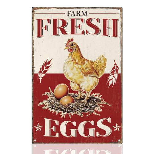 DOODLREAM Metall Blechschild Im Vintage Stil Mit Aufschrift „Farm Fresh Eggs“ Retro Blechkunst Poster Für Zuhause Küche Bauernhaus Wanddekoration 20 x 30 cm von DOODLREAM