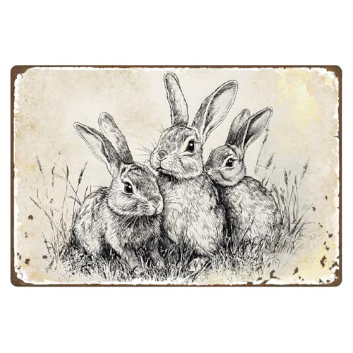 DOODLREAM Vintage Osterdekor Kaninchen Metallblechschild Häschen Retro Wandkunst Poster Für Zuhause Kinderzimmer Bauernhaus Männerhöhle Wanddekoration 20 x 30cm DOODLREAM Vintage Osterdekor Kaninchen Metallblechschild Häschen Retro Wandkunst Poster Für Zuhause Kinderzimmer Bauernhaus Männerhöhle Wanddekoration 20 x 30cm von DOODLREAM