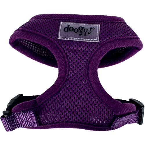 Air-Mesh-Geschirr, violett. von DOOGY CLASSIC