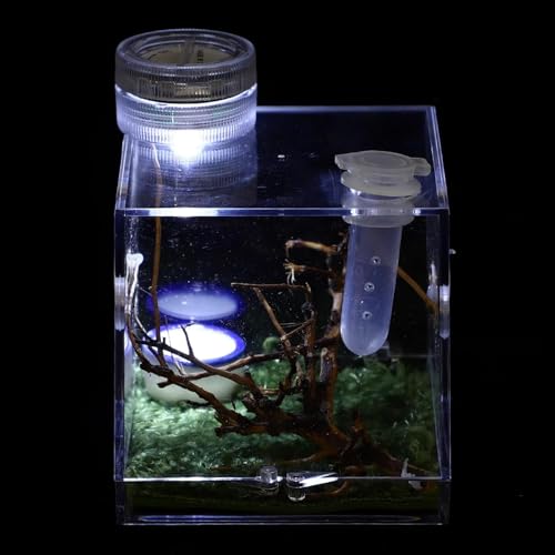 Springspinne-Gehege – Vogelspinnen-Gehege Mit Lampe, Acryl-Reptilien-Terrarien, Spinnen-Terrarien-Zuchtbox,L von DOPORA